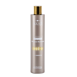 Hair Company Inimitable Style Illuminating Shampoo 250 Hair Company Inimitable Style Illuminating Shampoo 250