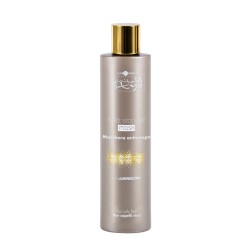 Hair Company Inimitable Style Frizz Stopper Mask 200 ml