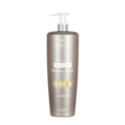 Hair Company INIMITABLE STYLE DENSITY SHAMPOO 1000 ML Hair Company INIMITABLE STYLE DENSITY SHAMPOO 1000 ML