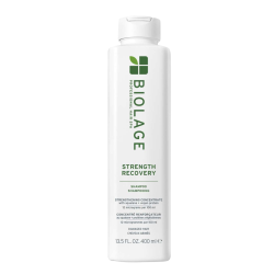Matrix Biolage Professional Hair Spa Strength Recovery Shampoo 400 ml Matrix Biolage Professional Hair Spa Strength Recovery Shampoo 400 ml